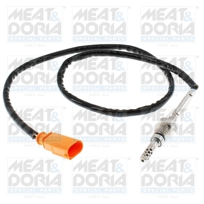Sensor, exhaust gas temperature